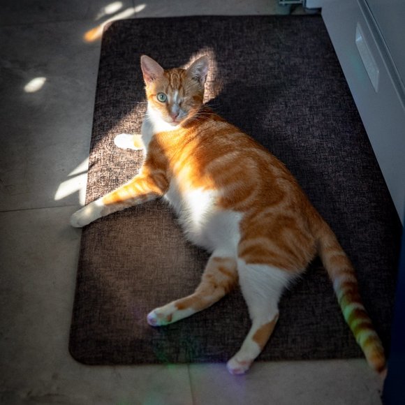 Meet your Posher, CrumbsOfShadow - Picture 3 of 4